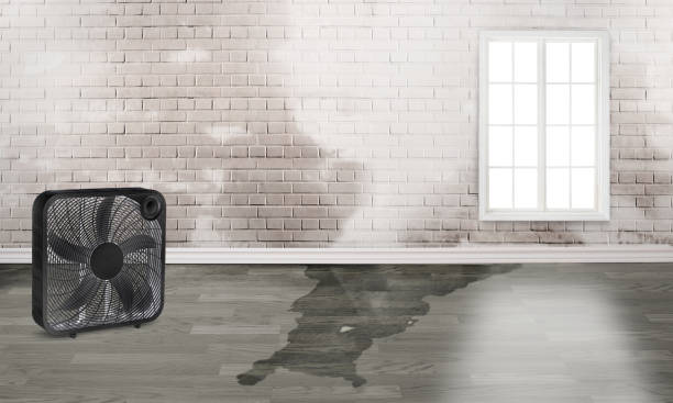 Best Flood damage cleanup  in Mart, TX