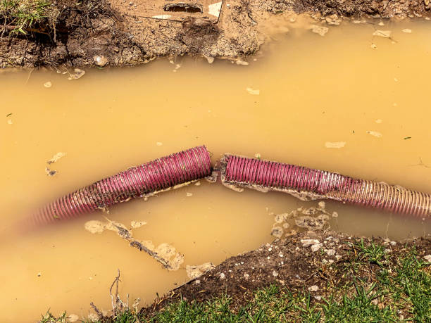 Best Commercial water damage restoration  in Mart, TX